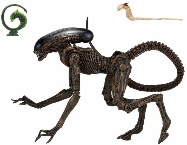 Alien 3 Dog Alien Ultimate 7 Inch Scale Action Figure  
